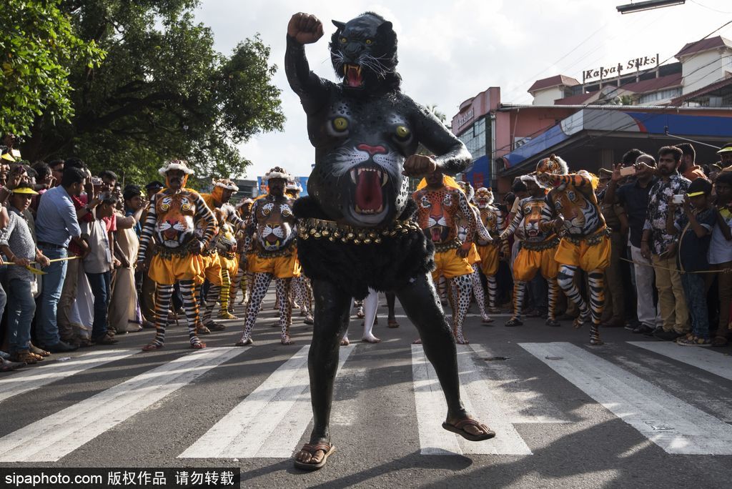 印度傳統(tǒng)虎舞的臺(tái)前幕后 表演者用顏料涂滿全身化身“猛虎”