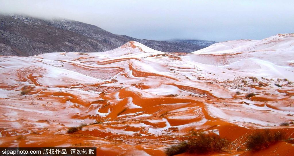 雄關(guān)漫道大漠狂風(fēng) 盤點(diǎn)全球令人窒息的沙漠美景