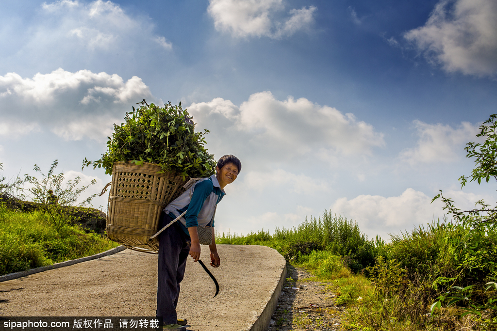 春回大地草木萌動(dòng) 盤點(diǎn)那些農(nóng)田光景返樸歸真