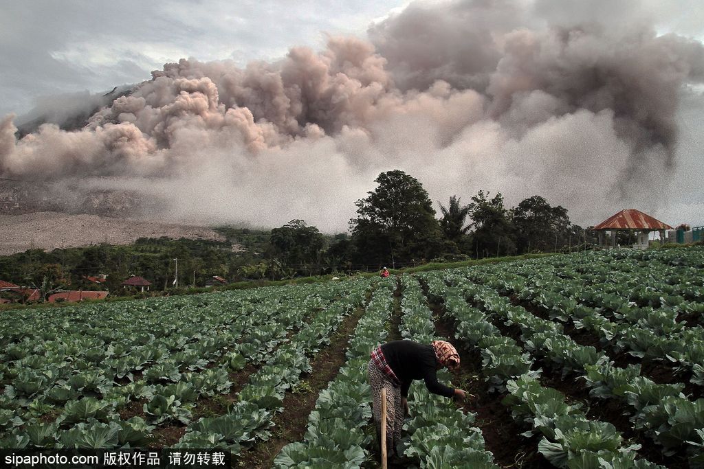 地球異域之美 盤點火山毀天滅地震撼瞬間