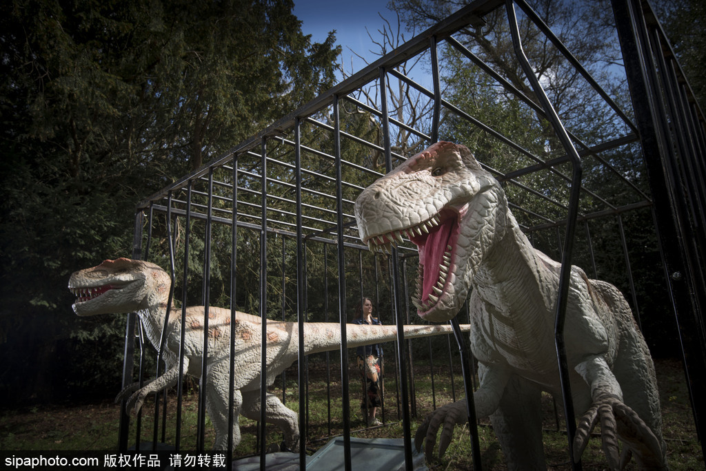 再現(xiàn)侏羅紀王國 倫敦奧斯特利公園舉辦互動恐龍模型展