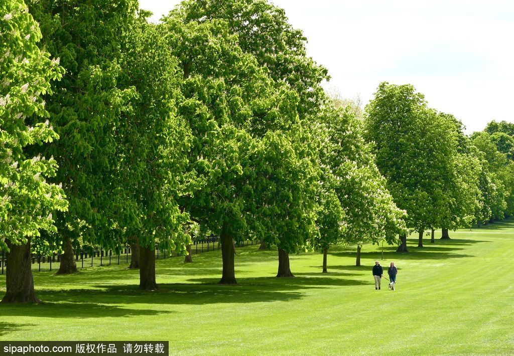 走進如畫英倫莊園 感受午后明媚春光