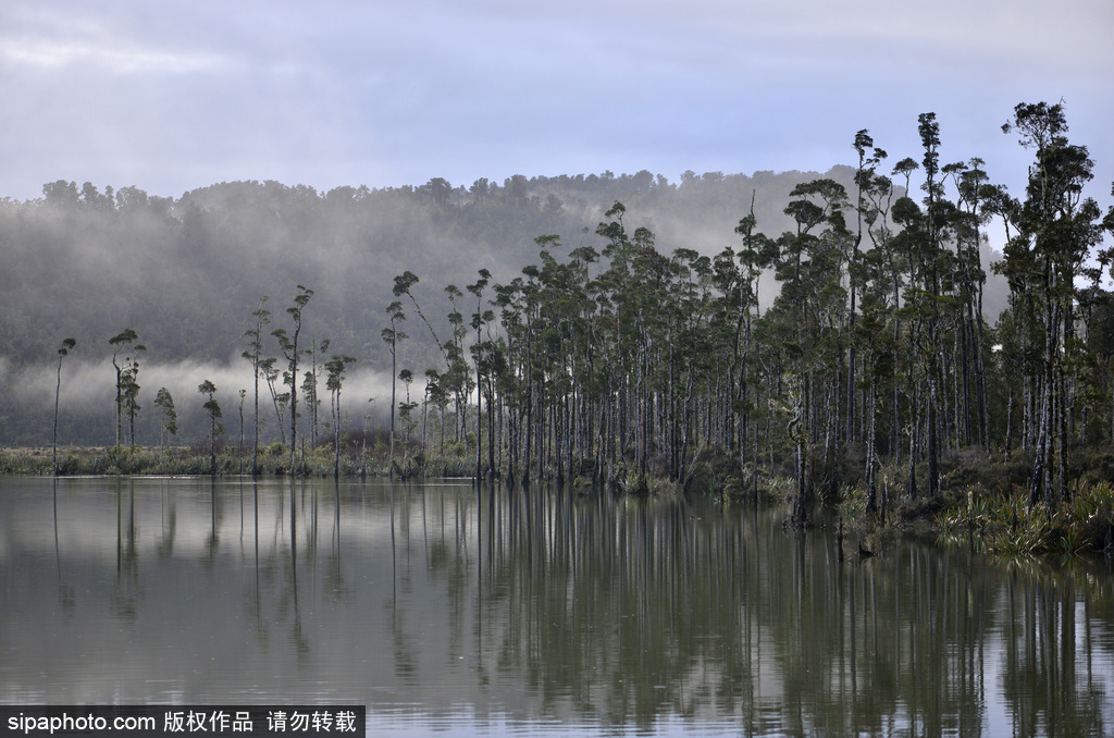 世界自然遺產(chǎn)“綠寶石之地”——新西蘭峽灣國家公園