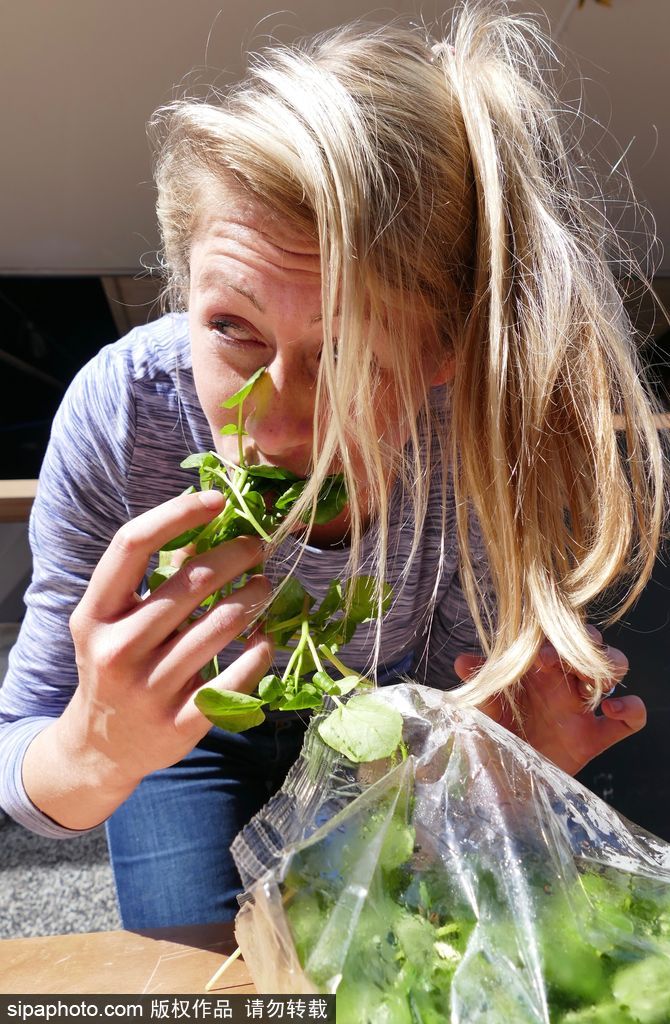 舌尖上的美食？英國吃豆瓣菜大賽眾選手大快朵頤瘋狂塞菜