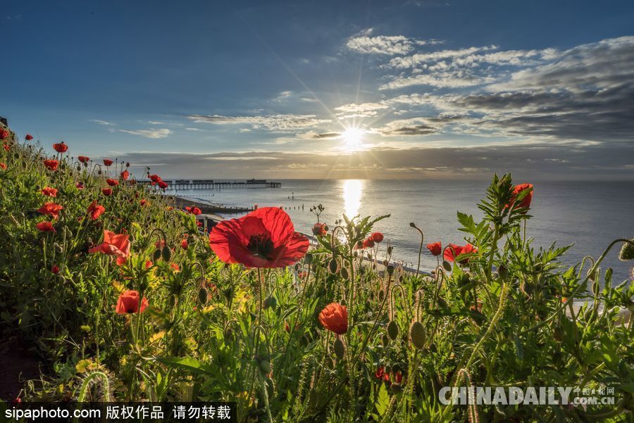 美到心坎里 英國索思沃爾德海邊風(fēng)光