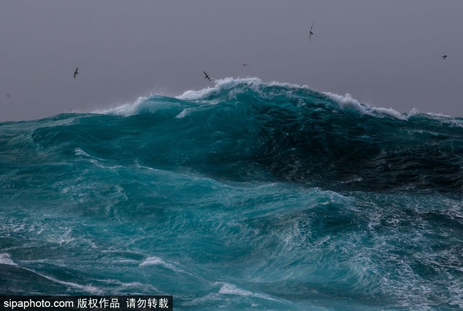 天氣太熱為眼睛“降溫” 冷色調(diào)大片帶你領略世界美景