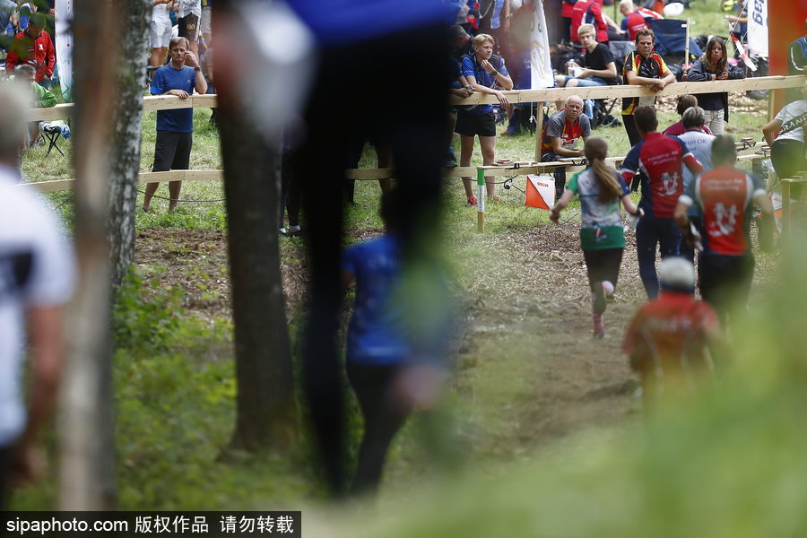 瑞典五日定向越野賽精彩開幕 男女老少齊上陣挑戰(zhàn)耐力極限