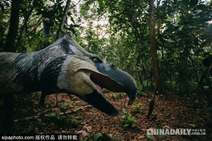 馬來西亞廢棄主題公園 似現(xiàn)實版侏羅紀公園