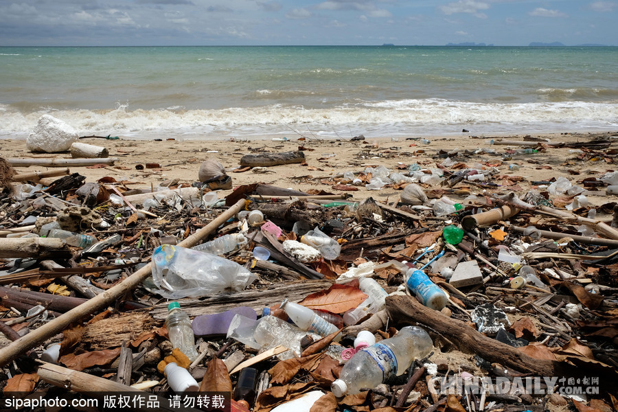 美麗小島一去不返 泰國景點蘭達島垃圾遍地