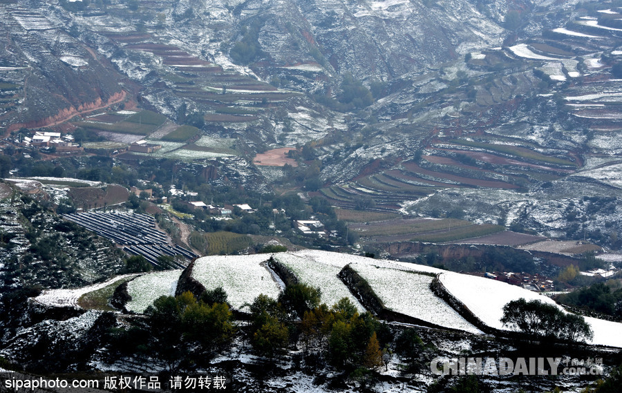 甘肅迎來雨雪天氣 雪落梯田景致宛如水墨畫