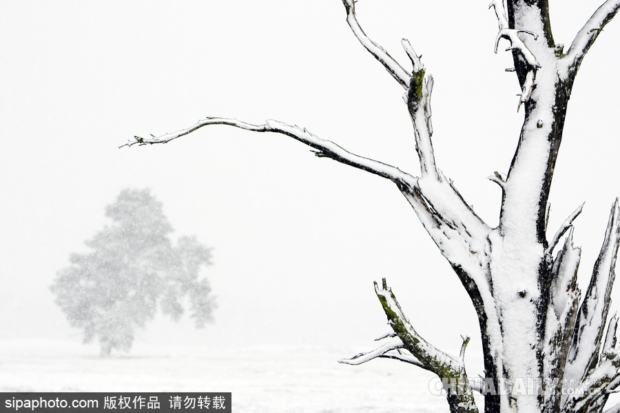 降溫雪韻至 盤點(diǎn)最平凡的冬日美景