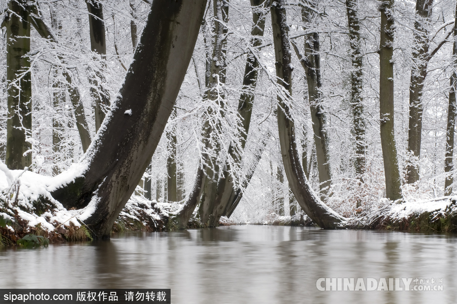 降溫雪韻至 盤(pán)點(diǎn)最平凡的冬日美景