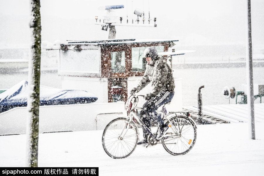 荷蘭鹿特丹降大雪 民眾騎車出行成雪人