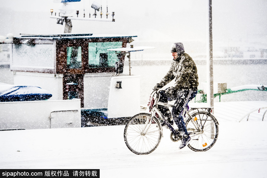 荷蘭鹿特丹降大雪 民眾騎車出行成雪人