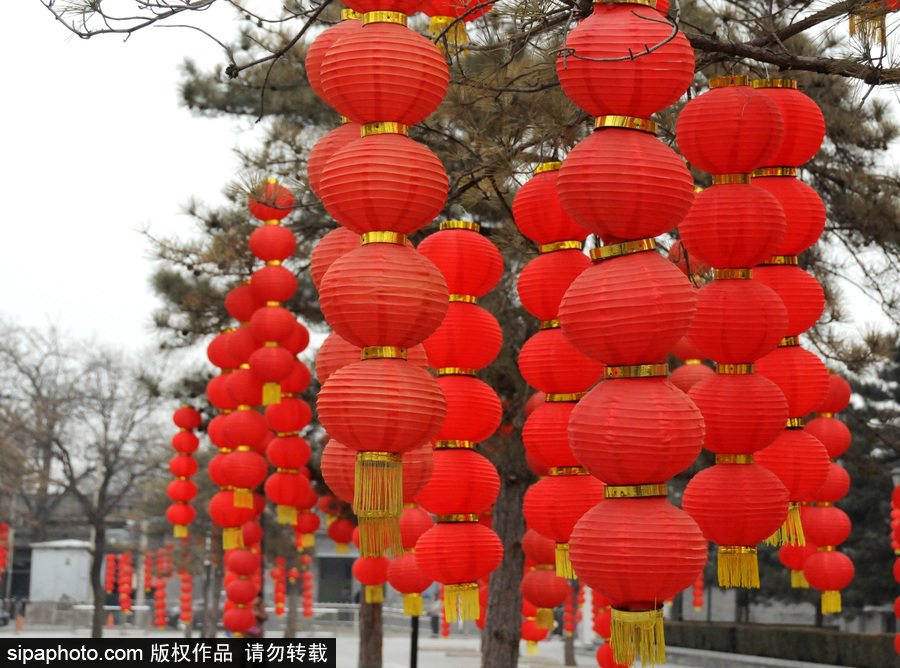 北京圓明園張燈結(jié)彩 紅火喜慶迎狗年春節(jié)