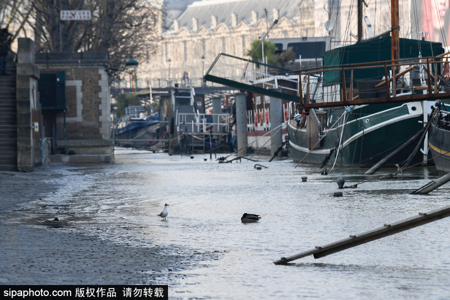 塞納河洪水后重新開放 河道淤泥堆積