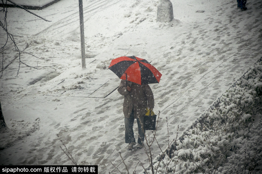 這波倒春寒來的迅猛！美國(guó)紐約遭遇暴雪天氣