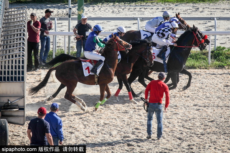 俄羅斯Pyatigorsk競技場 民眾縱馬馳騁享受休閑時光