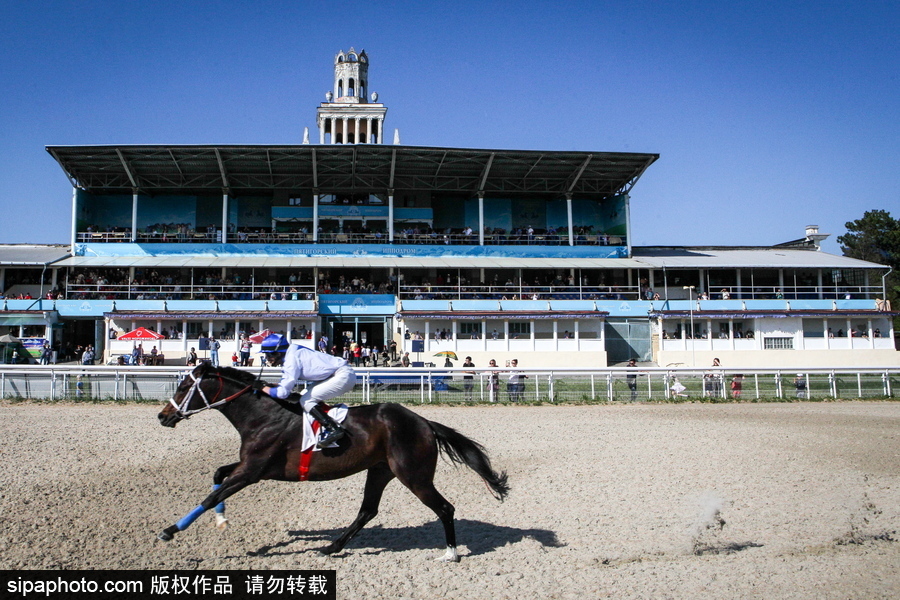 俄羅斯Pyatigorsk競技場 民眾縱馬馳騁享受休閑時光