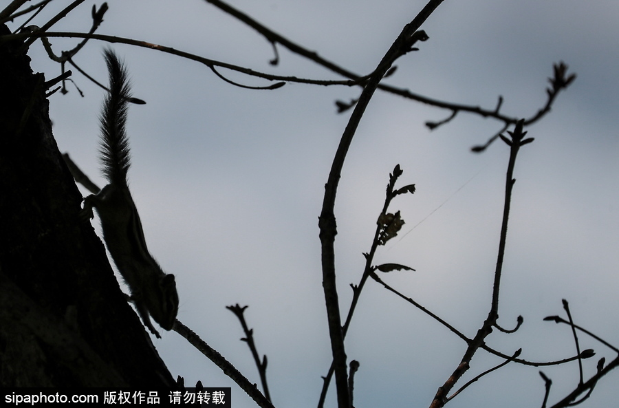 遠離塵囂的動物棲息地 探訪俄羅斯別廖佐夫斯基自然保護區(qū)