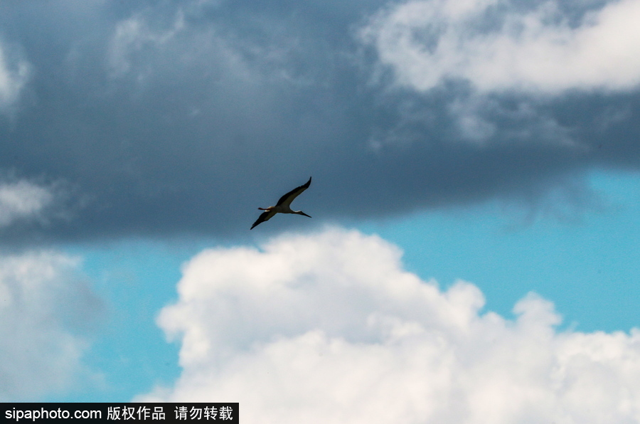 遠(yuǎn)離塵囂的動物棲息地 探訪俄羅斯別廖佐夫斯基自然保護(hù)區(qū)