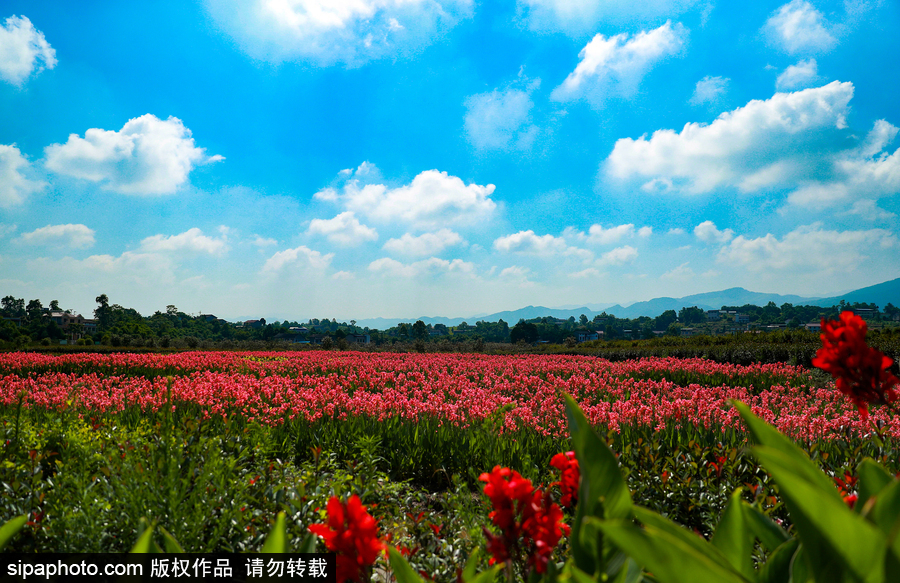 藍(lán)天白云刷屏！盤點(diǎn)風(fēng)清日朗的絕美風(fēng)光 為眼睛降溫