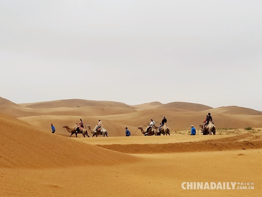 沙漠里的綠洲 打造沙漠生態(tài)旅游新亮點(diǎn)