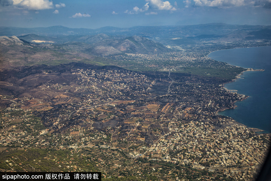 希臘山火過后的大地 一片黑色焦土