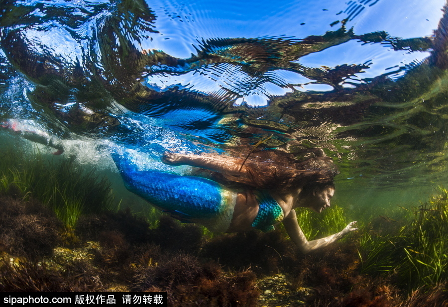 俄羅斯符拉迪沃斯托克：“美人魚”模特水中拍照再現(xiàn)童話場景